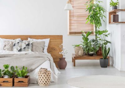 Pflanzen fürs Schlafzimmer